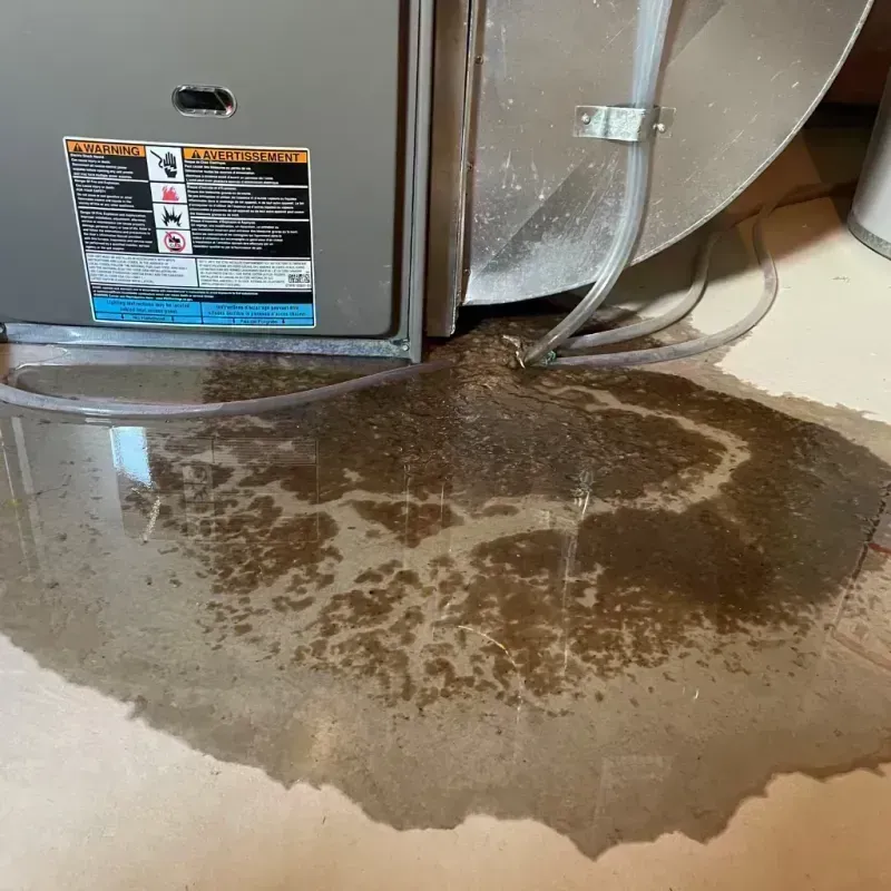 Appliance Leak Cleanup in Idaho Springs, CO